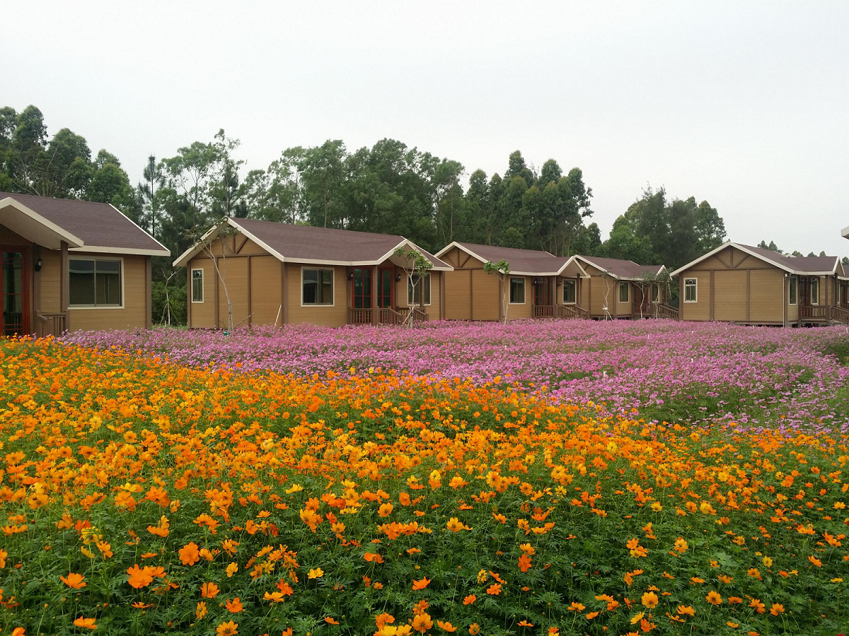 陽江山海經(jīng)花海拓展基地