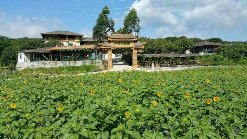 惠州小徑生態(tài)園